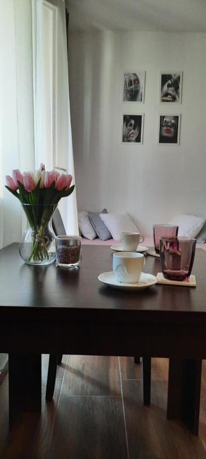 Stan Na Dan Dunja 2 Daire Vrsac Dış mekan fotoğraf